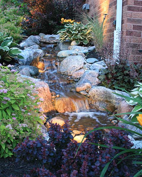 Water Features